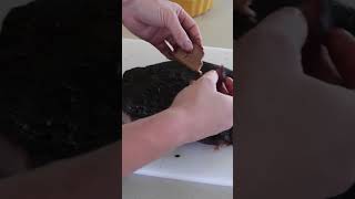 How to BBQ a Brisket bbq recipe [upl. by Monagan]