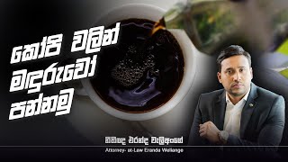 මඳුරුවන්ට සහ කැරපොත්තන්ට කෝපි වලින් විසඳුමක් l Eranda Weliange [upl. by Hanschen]