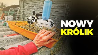 🐰 KUPIŁEM KRÓLIKA 🐰 zima wróciła do Koziołkowa ❄️ MOJE MINI ZOO  odc 326 [upl. by Haroved695]