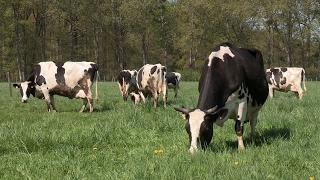 Lagroécologie à la Bergerie nationale [upl. by Ruff662]