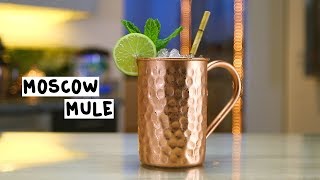 Moscow Mule  Tipsy Bartender [upl. by Dimitry]