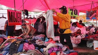 TIANGUIS de PACA en COYOACÁN Tianguis de la Virgen  Lalo Elizarrarás [upl. by Attela]