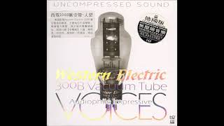 Audiophile Impressive Voices 1 Western Electric 300B Vacuum Tube [upl. by Jemima]