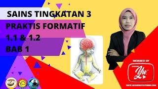 SAINS TING 3 PRAKTIS FORMATIF 11 DAN 12 BAB 1 RANGSANGAN amp GERAK BALAS [upl. by Molloy]