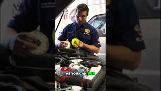 Genuine Toyota vs Aftermarket Fuel Filters The Truth Revealed [upl. by Godding]