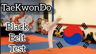 Taekwondo Cho Dan Bo Black Belt Test [upl. by Anirda]