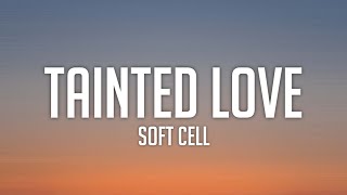 Soft Cell  Tainted Love Lyrics  tiktok song [upl. by Kerek]