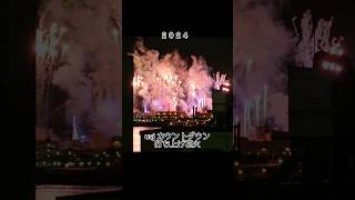 【usj 20232024】161カウントダウン打ち上げ花火 ちょっと遠かった [upl. by Ybur]