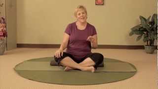 Coming Back from Back Surgery  Gentle Yoga Back Stretches for Every Body [upl. by Rutan]