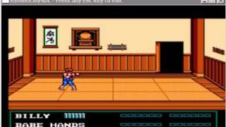 Double Dragon III on PSPNesterJ NES Emulator and RemoteJoy [upl. by Shushan]