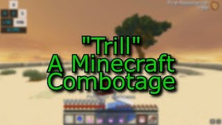 quotTrillquot A Minecraft Combotage [upl. by Woodman94]