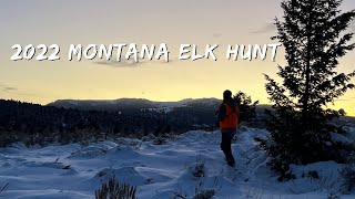 2022 Montana Elk Hunt [upl. by Hurff]