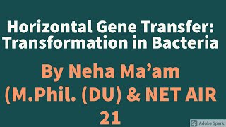 Horizontal Gene Transfer Transformation in Bacteria [upl. by Tamah]