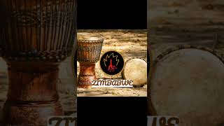 ZimbabweApex Raptor electronicmusic drums fusion genrefusion capcut shorts [upl. by Novyert29]