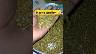 Moong Quality  Msp 202425 ytshorts youtubeshorts youtubevideo [upl. by Key]