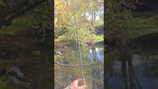 Is snagging legal fishing badfish bassfishing giantbass fish [upl. by Anyahc]