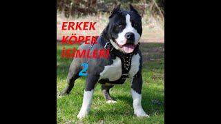 ERKEK KÖPEK İSİMLERİ EN GÜZEL [upl. by Nnairol]