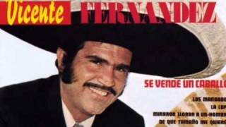 Vicente Fernandez De Que Tamaño Me Quieres [upl. by Jeno]