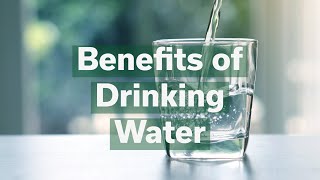 Benefits of Drinking Water [upl. by Arakihc]