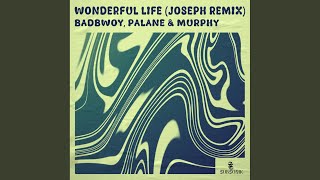 Wonderful Life JOSEPH Remix [upl. by Bannasch]