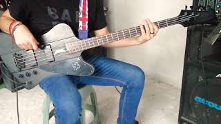 Destroyer  The Kinks  Bass cover [upl. by Fritzie]