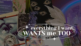 quoteverything I want wants me tooquot blockage remover amp mindset booster subliminal calm 432Hz [upl. by Loydie]