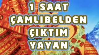 1 Saat Çamlıbelden Çıktım Yayan  Sevda Künktakan  Bizim Ninniler [upl. by Findley]