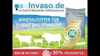 wwwinvasode  Ihr Portal für Mineralfutter und Milchaustauscher [upl. by Zuleika]