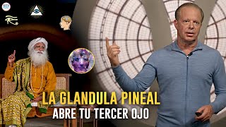 El Tercer Ojo El PODER De La Glándula Pineal  drjoedispenza amp SadhguruEspañol [upl. by Alleira]