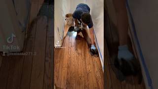 Y ustedes ya se pelearon tips diyflooring flooringideas flooring diy flooring woodworking [upl. by Zealand854]