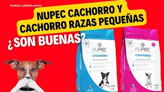 Analisis de Croquetas Nupec Cachorro y Cachorro razas pequeñas [upl. by Patty]