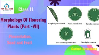 Morphology Of Flowering Plants part 7 [upl. by Hedaza]