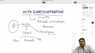 ACTH Corticotropin Hormone  function amp regulation [upl. by Lledyr995]