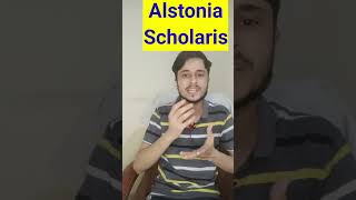 Alstonia Scholaris Homeopathic Medicine shorts youtubeshorts [upl. by Clifton]