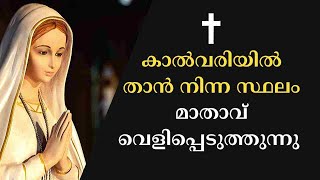 കാൽവരിയിൽ മാതാവ് നിന്ന സ്ഥലം റാണി ജോണിന് കാണിച്ചുകൊടുക്കുന്നു  Fr Abraham Kadiyakuzhy [upl. by Naillil736]