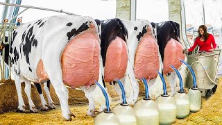 Cow Milking Technology Is CRAZIER Than You Expected [upl. by Emina]