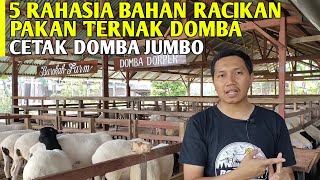 5 Rahasia Pakan Ternak Bisa Hasilkan Domba Jumbo  Cara Ternak Ghaper [upl. by Wong582]