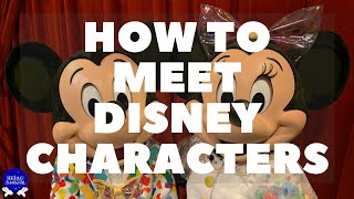 How to Meet Disney Characters – Meet and Greet Guide and How to Interact with Disney Characters [upl. by Yeldarb686]