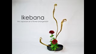 Ikebana Howto the Taterukatachi stepbystep [upl. by Jorin129]