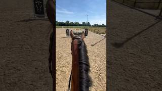 Pferdehofliebe  Parcoursspringen mal anders 😄 pferdehofliebe equestrian horse jumping pferd [upl. by Ted]