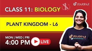 4 PM Class 11 NCERT Biology  PLANT KINGDOM By Shivangi Maam  L6 English Medium [upl. by Bigford]