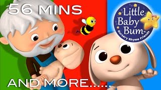 Learn with Little Baby Bum  BINGO Part 2  Nursery Rhymes for Babies  Songs for Kids [upl. by Assil]