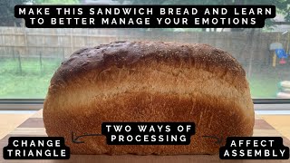 Emotion Management Sandwich Bread  Bread Therapy [upl. by Nyliram]