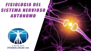 Fisiologia del Sistema Nervioso Autonomo [upl. by Upali]