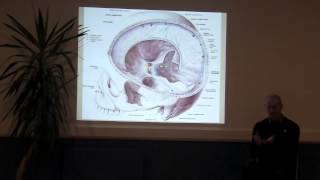 Body Intelligence Introduction to Biodynamic Craniosacral Therapy  Brighton UK [upl. by Ramad]