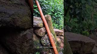 rainstick made in sri lanka Natural sound in morning and night time rainstick madeinsrilanka mg [upl. by Eirahs]