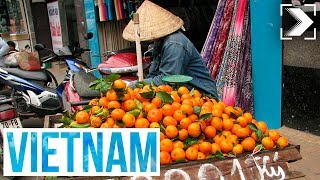 Españoles en el mundo Vietnam 13  RTVE [upl. by Ambler]