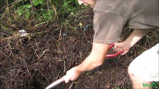 Composting For Impatient Gardeners [upl. by Merdith185]