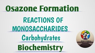 Osazone Formation ll Reaction of Monosachharides ll Carbohydrates ll Biochemistry [upl. by Jacynth331]