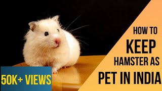 How to keep Hamster As pets In India  Complete Care Guide  Hindi [upl. by Miko]